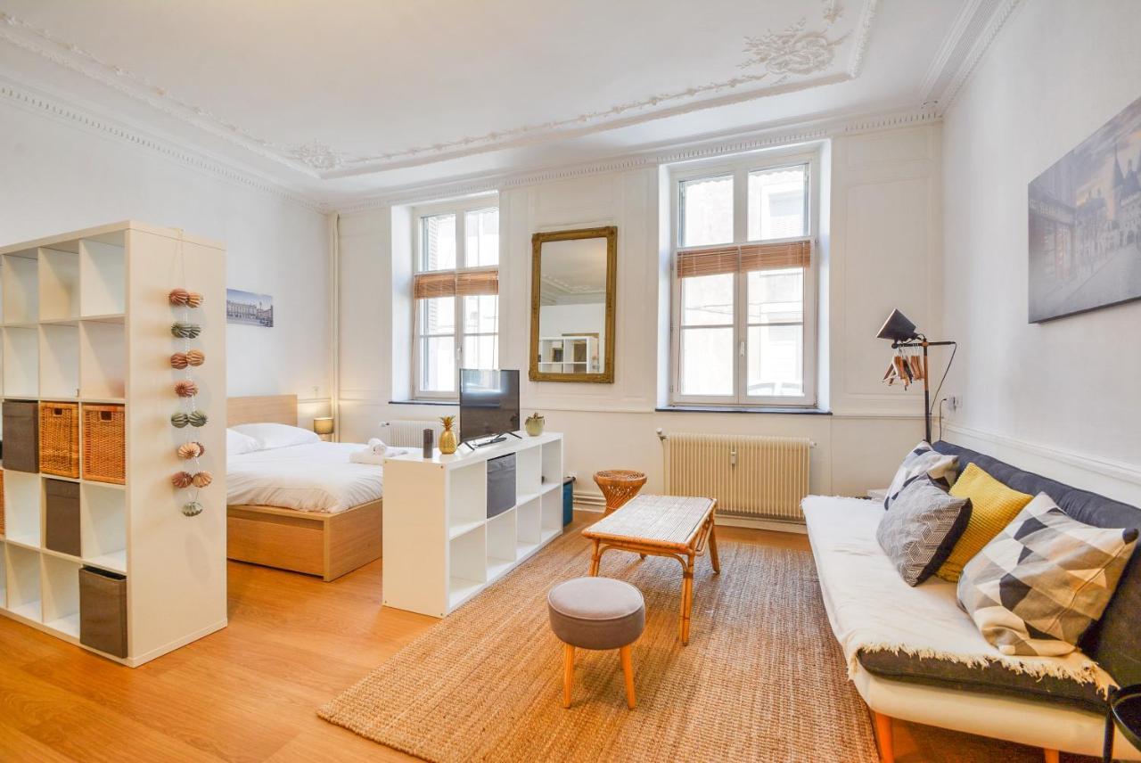 Le Cocon Des Ponts Apartment Нанси Екстериор снимка